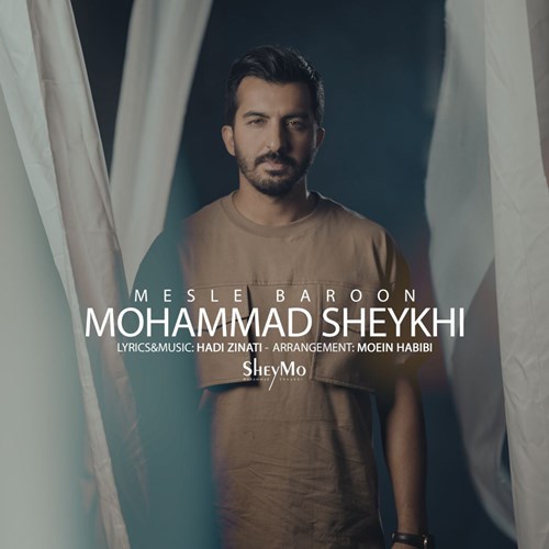 محمد شیخی