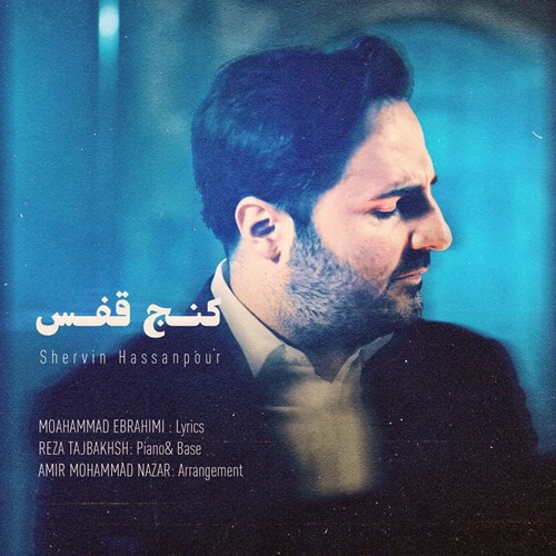 شروین حسن پور