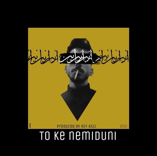زانین