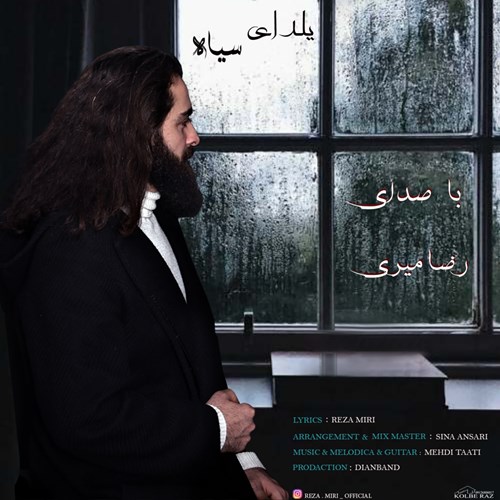 رضا میری