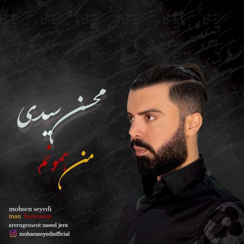 محسن سیدی