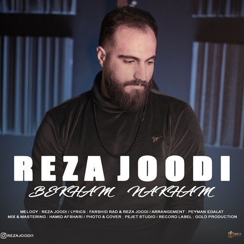 رضا جودی
