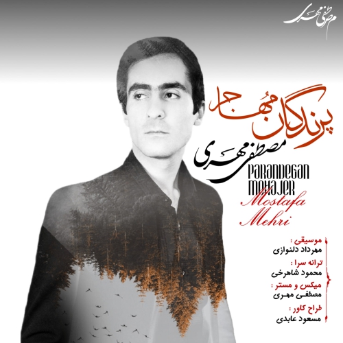 مصطفی مهری