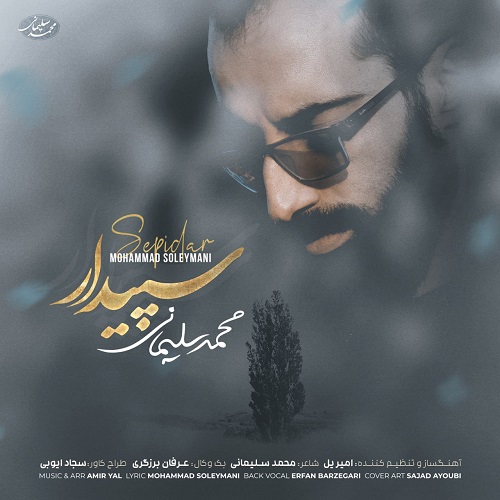 محمد سلیمانی