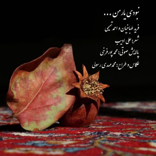 فرید طباخیان و احمد تمیمی