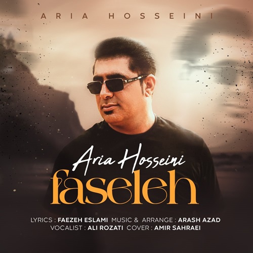 آریا حسینی