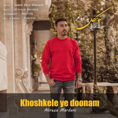 علیرضا مردانی