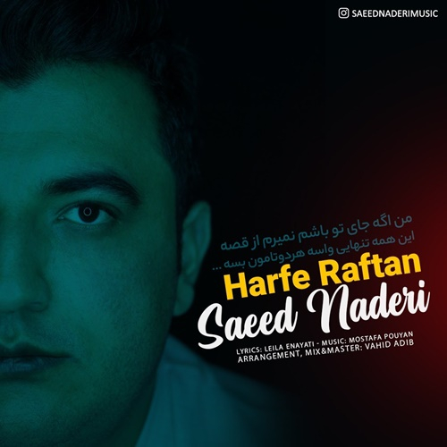 سعید نادری