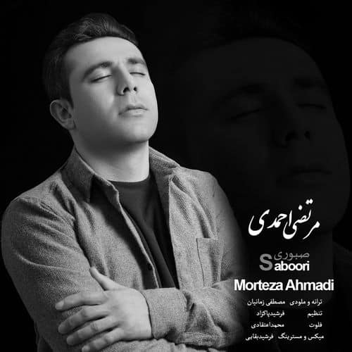 مرتضی احمدی