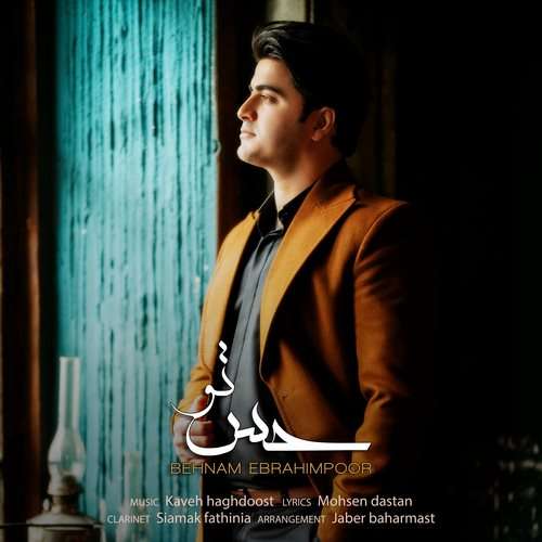 بهنام ابراهیم پور