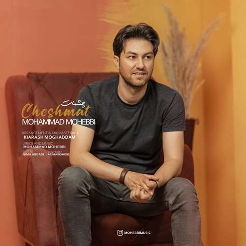 محمد محبی