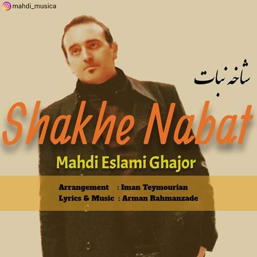 مهدی اسلامی قجور