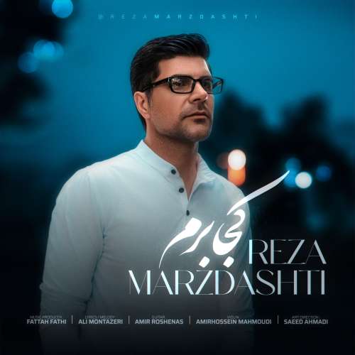 رضا مرزدشتی