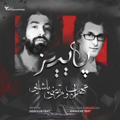 مهراب و مرتضی پاشایی