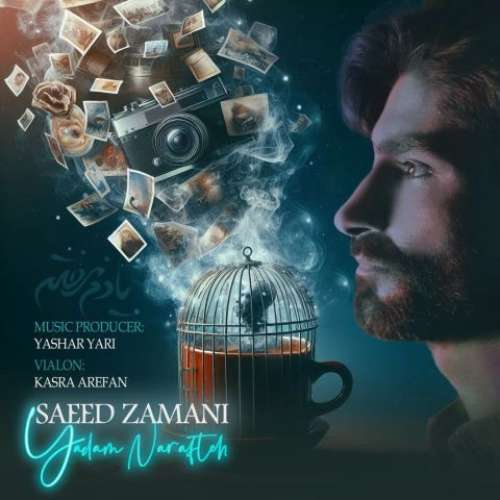 سعید زمانی