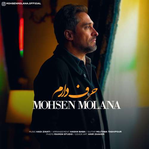 محسن مولانا