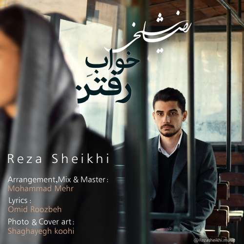 رضا شیخی