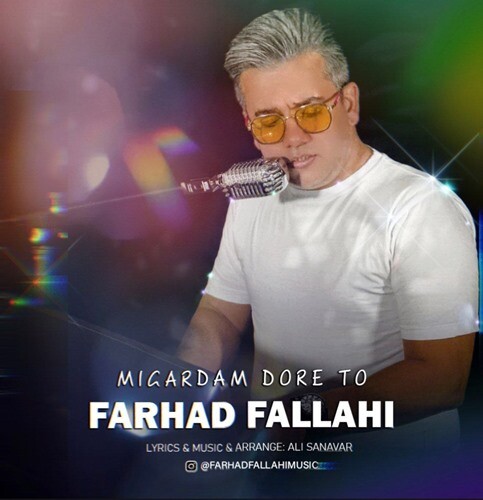 فرهاد فلاحی میگردم دور تو