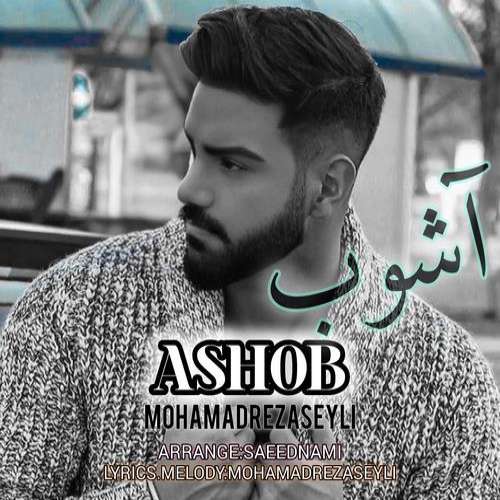محمدرضا سیلی
