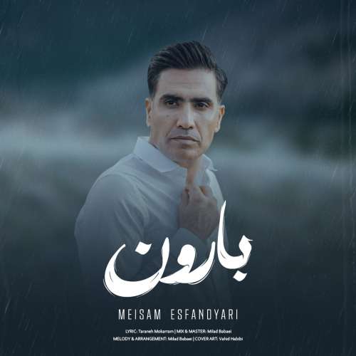 میثم اسفندیاری