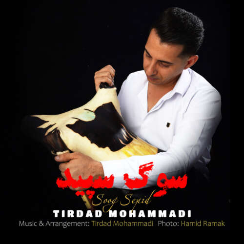 تیرداد محمدی سوگ سپید