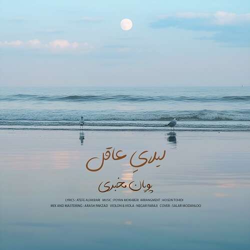 پویان مخبری