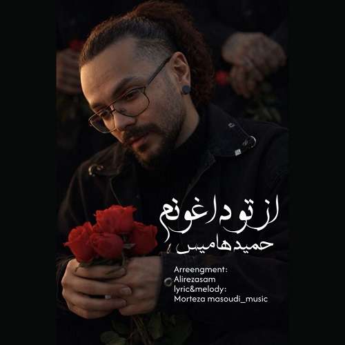 حمید هامیس
