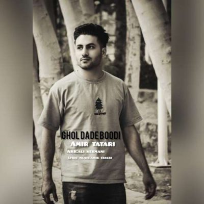 امیر تاتاری