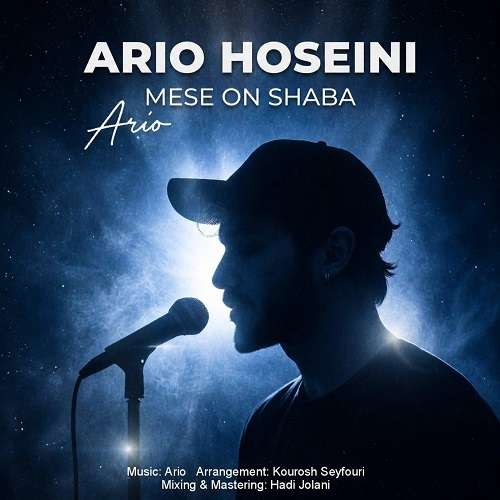 آریو حسینی