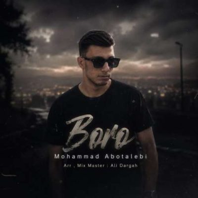 محمد ابوطالبی