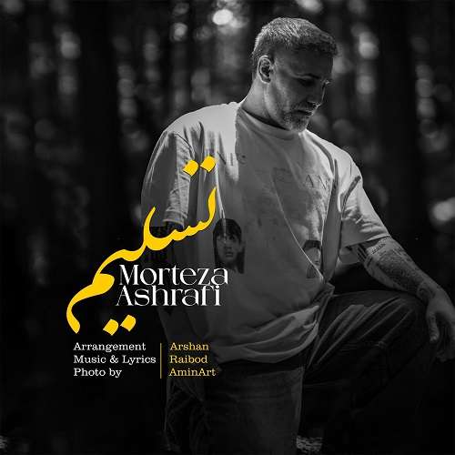 مرتضی اشرفی