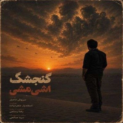 سروش دادیار