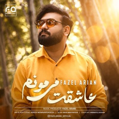 فاضل آرین عاشقت میمونم